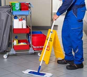 Descripción de la imagen