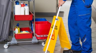 Descripción de la imagen