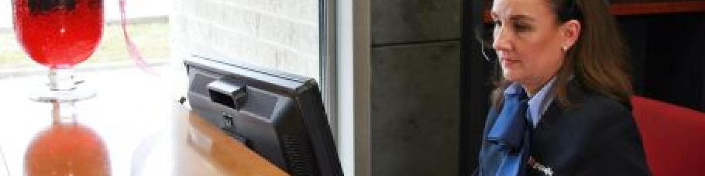 Descripción de la imagen