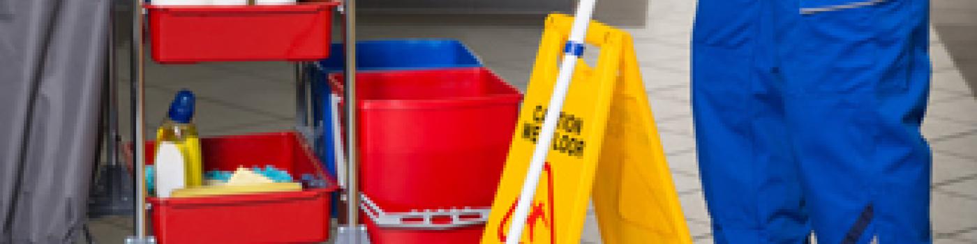 Descripción de la imagen