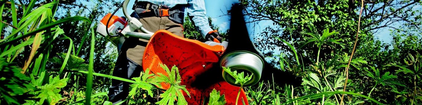 Descripción de la imagen