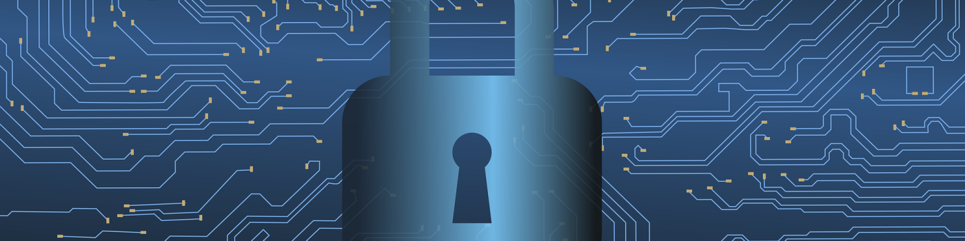 Descripción de la imagen