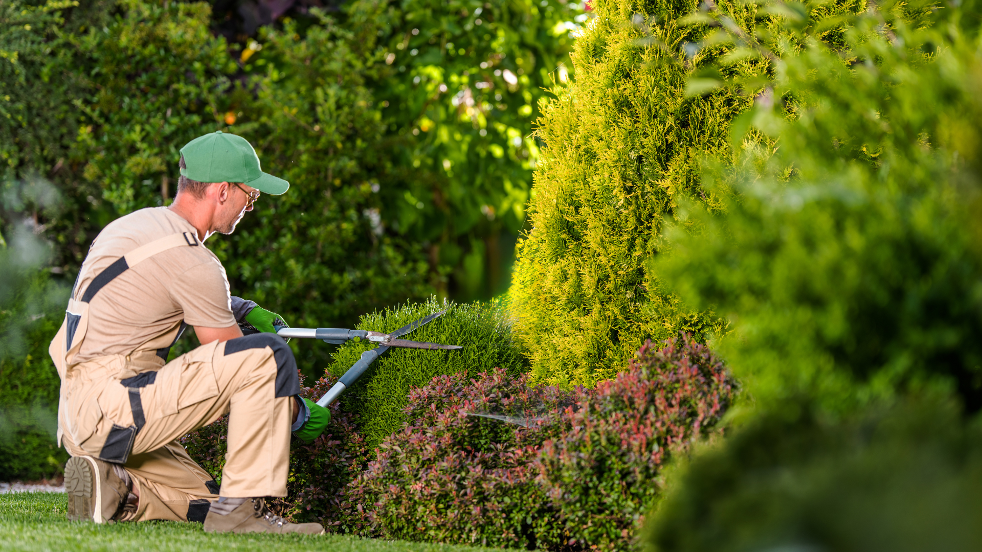 Descripción de la imagen