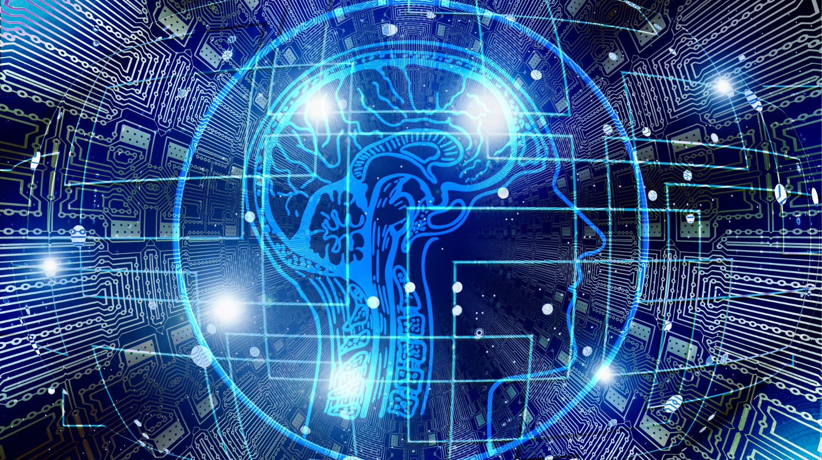 Descripción de la imagen