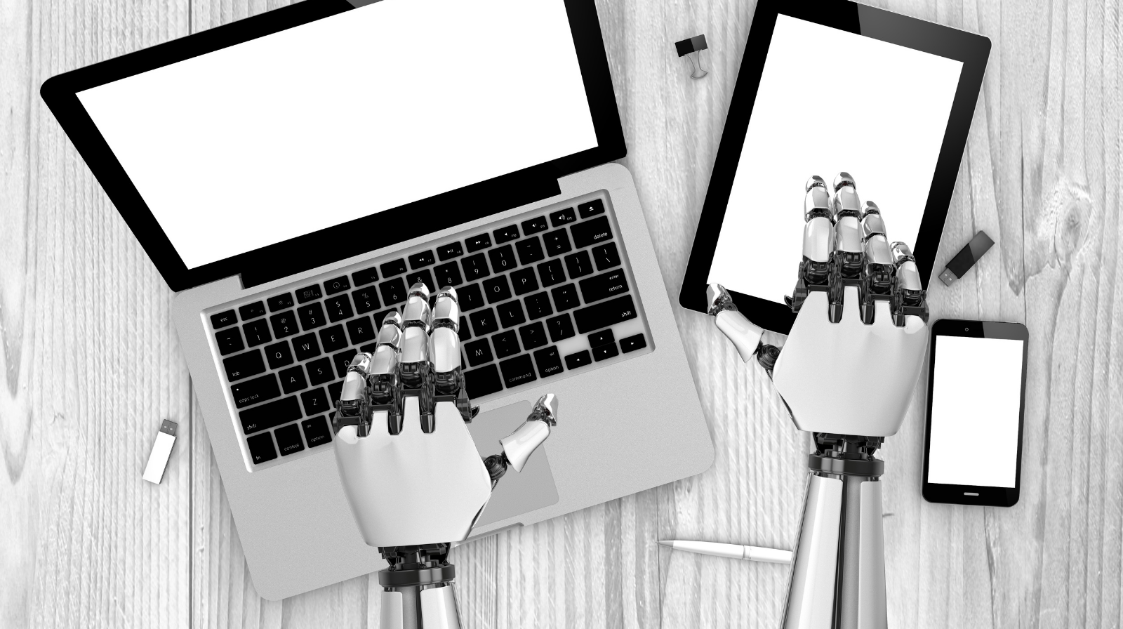 Descripción de la imagen