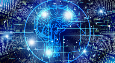 Descripción de la imagen